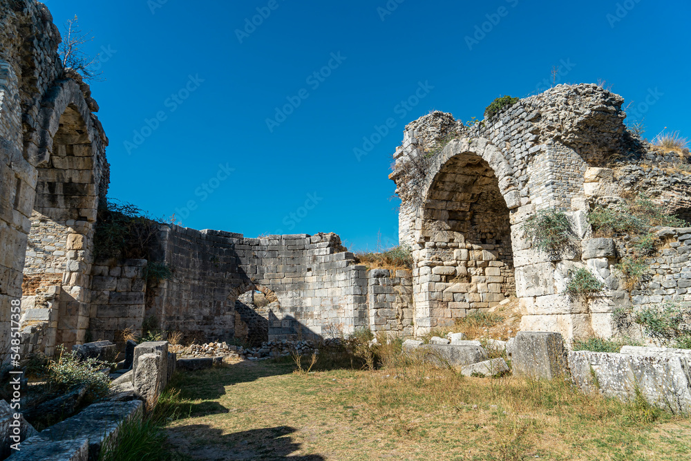 Remains of the Faustina Bath, the youngest and largest bathing and sports complex in Miletus, Turkey. 