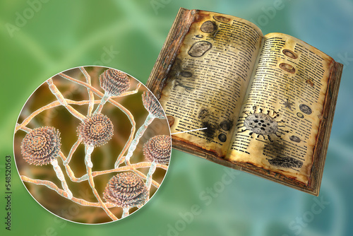 Mold in old books, conceptual 3D illustration. Open antique book with black mold on its pages and close-up view of mold fungi Aspergillus, the most common microscopic fungus found in old books photo