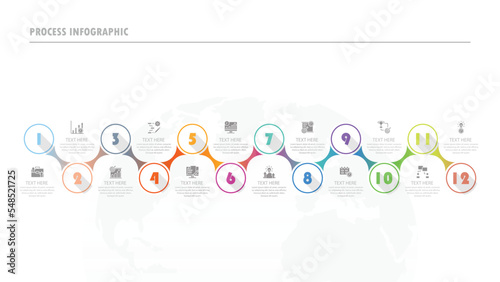 Process infographic with 12 steps, process or options.