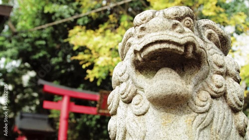 Japanese Temple with autumn leaves