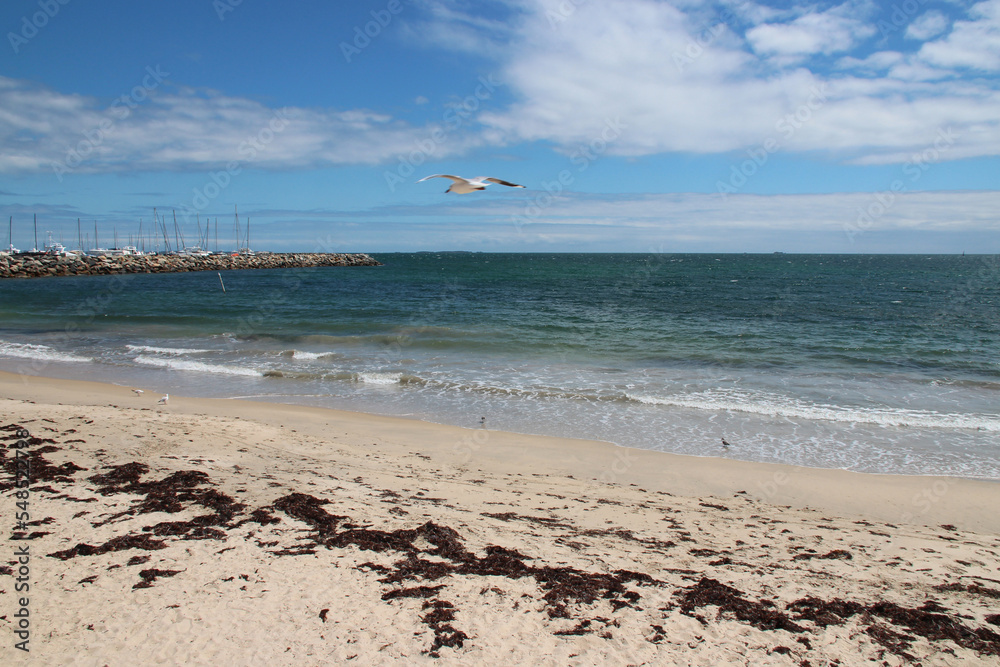 bathers beach and indian ocean at fremantle in australia