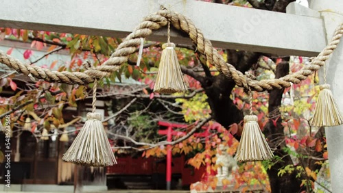 Japanese Temple with autumn leaves