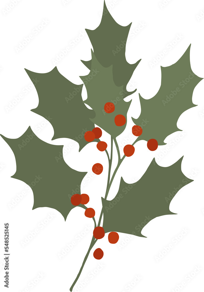 Naklejka premium Christmas holly, flower botanical clipart illustration in flat cartoon style. Merry Christmas and Happy New year floral evergreen element, isolated