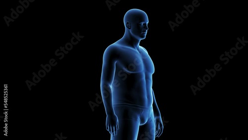 3D Rendered Medical Animation of A man's fitness transformation.