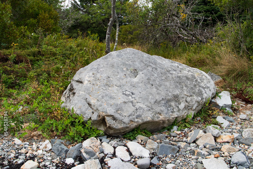 large rock in forest