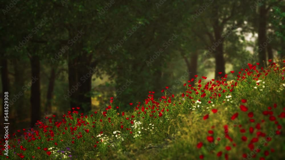 Beautiful view of idyllic alpine mountain scenery with blooming meadows Beautiful view of idyllic alpine mountain scenery with blooming meadows