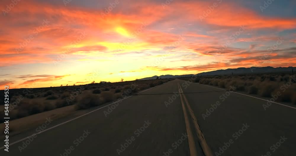 Stunning golden sunset while driving through the Mojave Desert with Joshua trees in silhouette