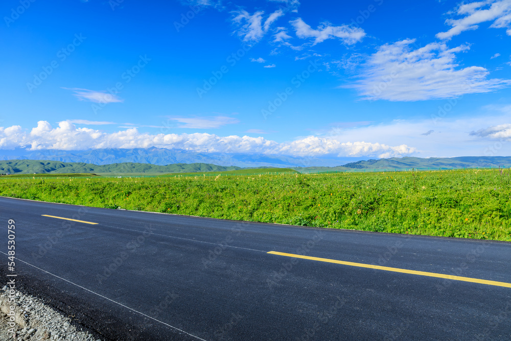 Asphalt road and green grasslands with mountain natural scenery in Xinjiang, China.