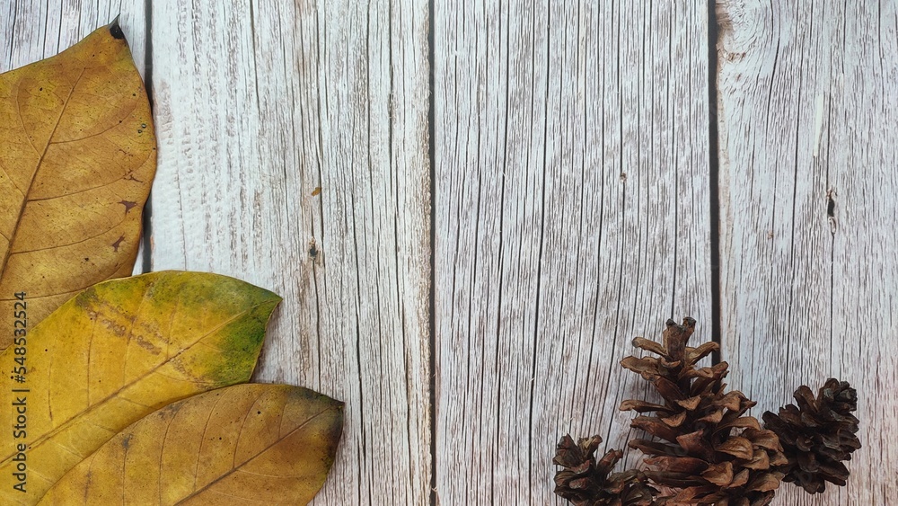 natural background with wood pattern, dried leaves and leaves natural background with wood pattern, dried leaves and leaves