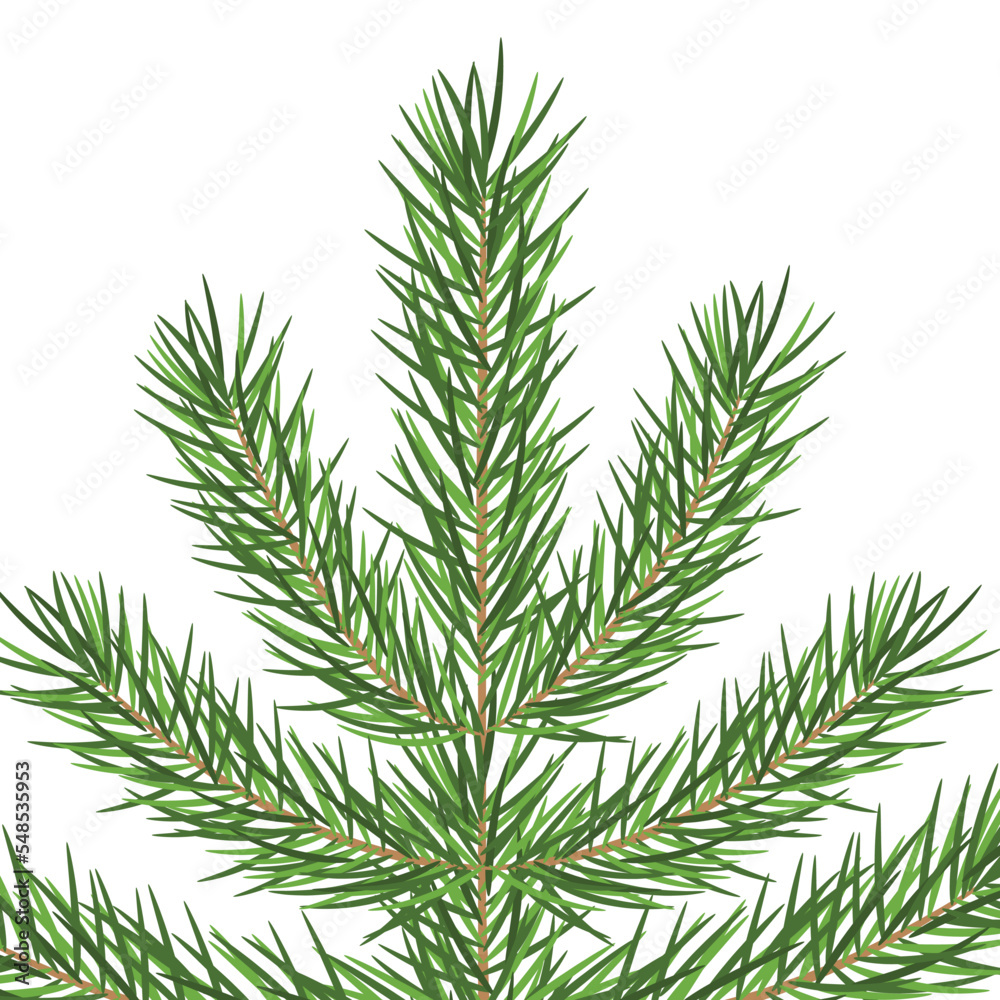 top of the green christmas fir tree- vector illustration top of the green christmas fir tree- vector illustration