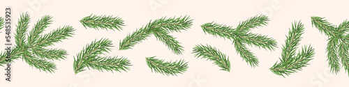 christmas banner with fir tree branches - vector illustration