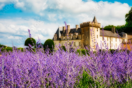 Perovskia Flowers in the Magnificent Gardens of the Castle of Villandry, Loire, France photo