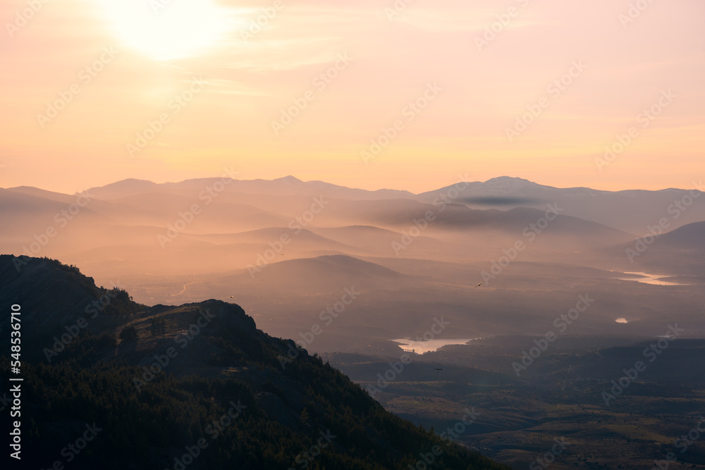 Majestic view of misty mountain valley with flying bird Majestic view of misty mountain valley with flying bird
