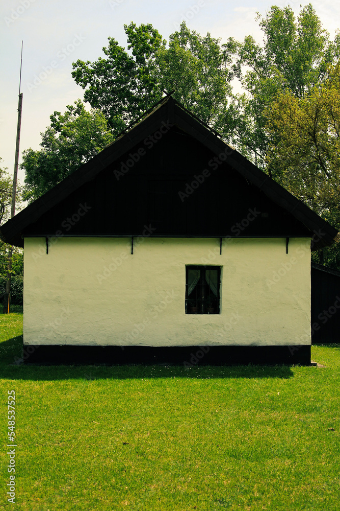 Fototapeta premium life in the village