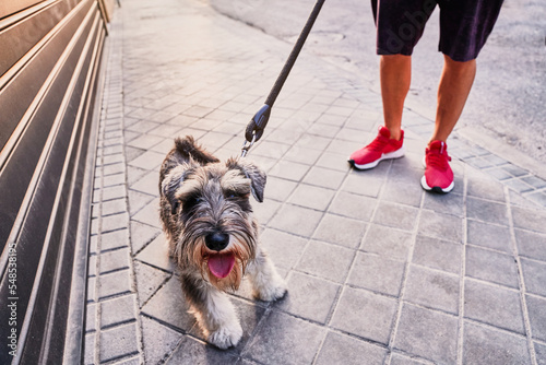 Anonymous sportsman walking on street with dog photo