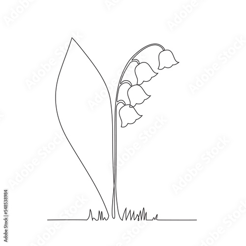 Muguet en ligne continue
