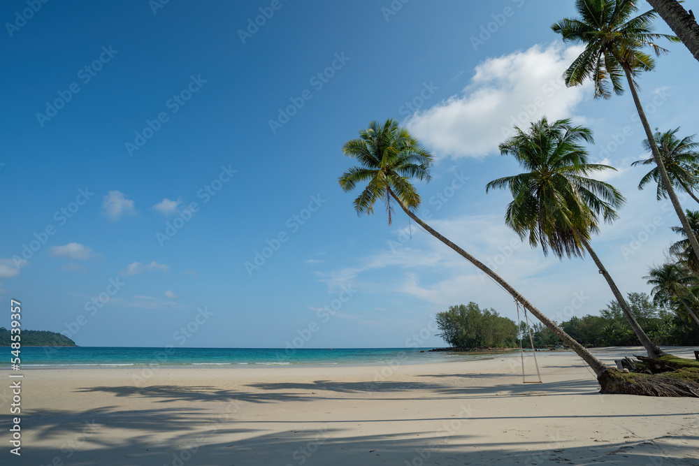 Fototapeta premium Coconut Palm tree on the white sandy beach