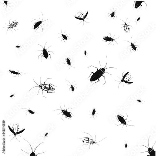 Set of vector silhouettes of different black cockroaches