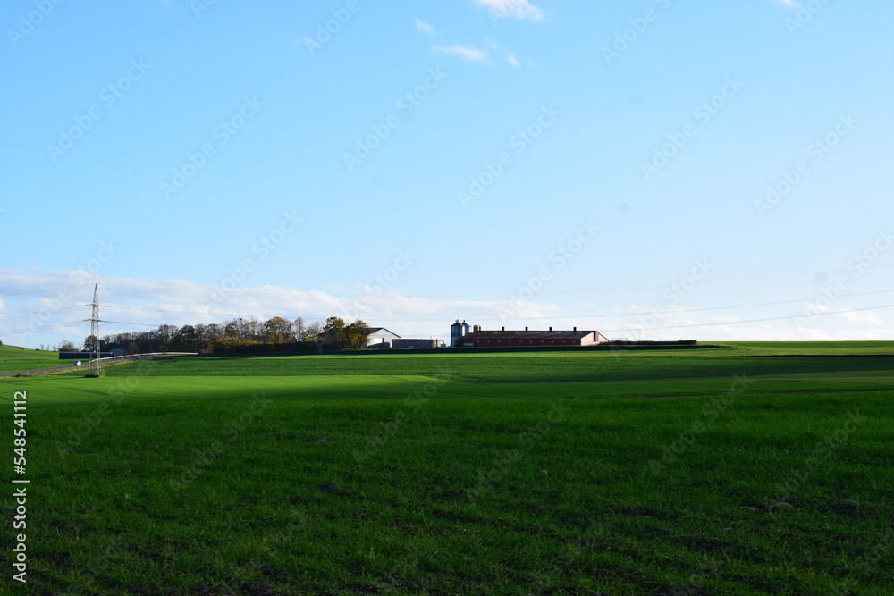 grüne Hügel mit herbstlichen Bäumen und Büschen und einer Farm grüne Hügel mit herbstlichen Bäumen und Büschen und einer Farm