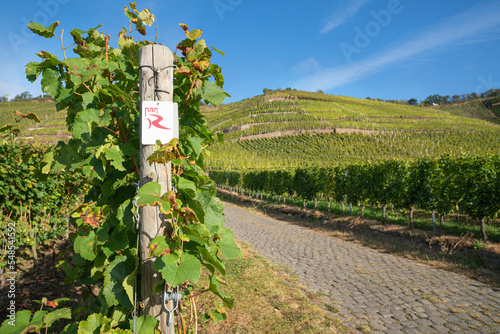 Waymark of Rhine Castle Trail close to Winningen, Germany photo