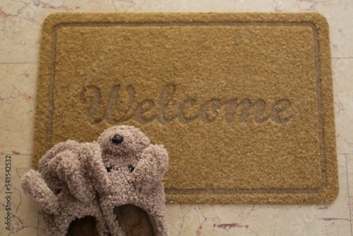 beautiful, warm, house slippers in the form of dogs, stand at the entrance on a home rug. welcome