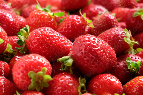 Strawberry on a white background. Strawberry background. Red fresh strawberry wallpaper. Macro. Texture. Frame with copy space. Lots of freshly picked Berries. Close up.