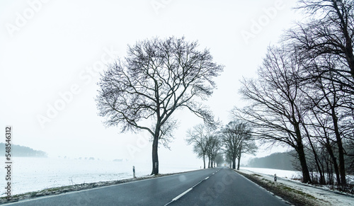 eine winterliche  neblige Landschaft im Winter