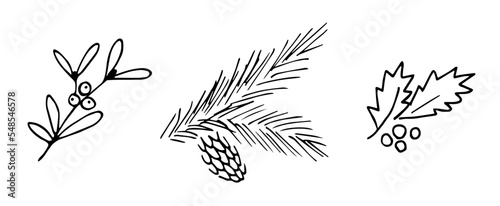 Simple black outline vector drawing. Set of plant elements for Christmas decoration. Coniferous branch and cone, mistletoe sprig, berries and holly leaves. Sketch in ink.