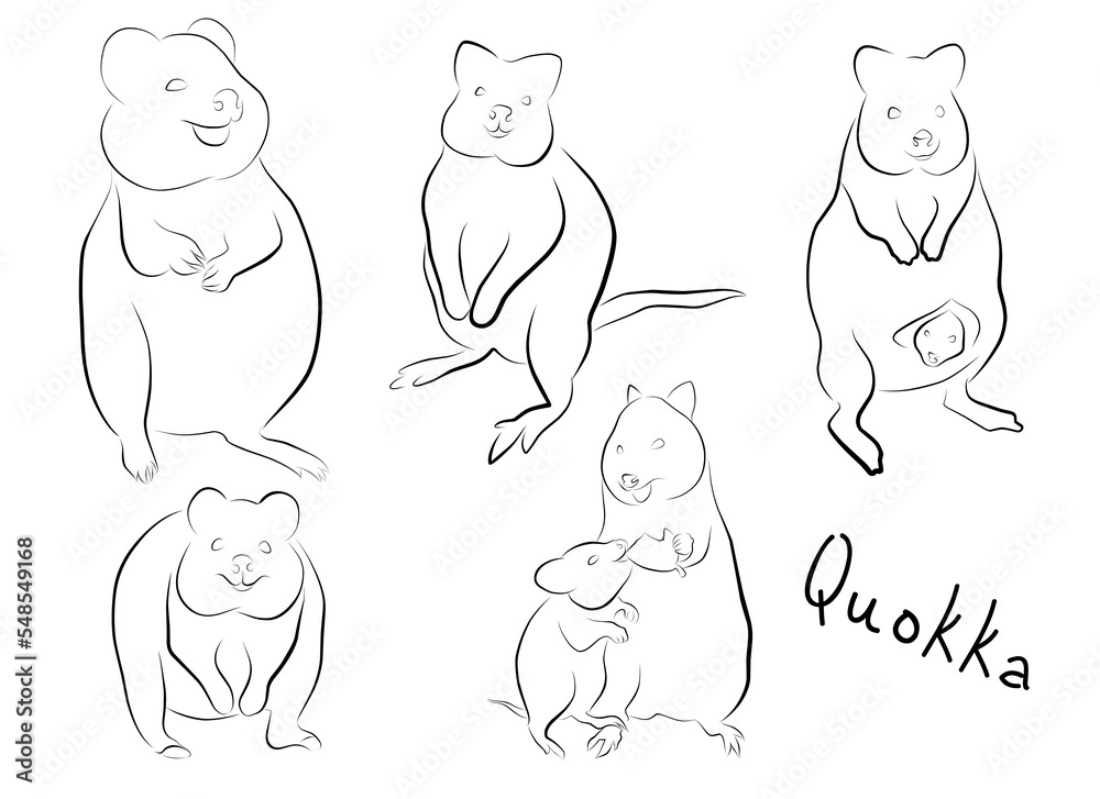Set Animal Quokka. vector illustration. Preschool Zoo theme. Australian
