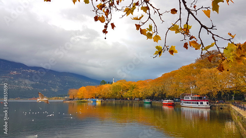 ioannina city in winter season with yellow platanus trees beside the lake pamvotis ships boats on the dock greece