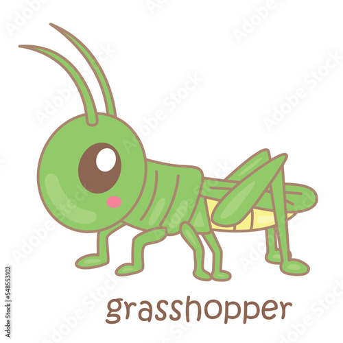 Alphabet G For Grasshopper  Illustration Vector Clipart