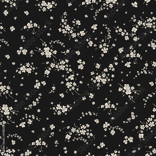 Small white wildflowers on a black background.
