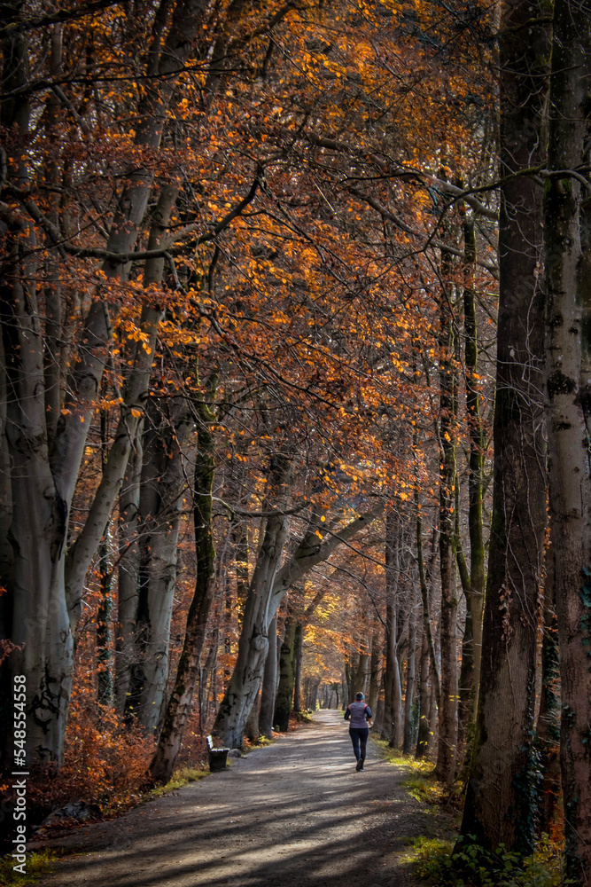 Jogger auf Weg an der Isar in München im Herbst/Winter mit Bäumen