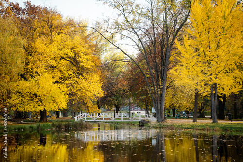 Beautiful colorful fall natural landscape with a lake in park surrounded by yellow foliage of trees.Natural reflection of trees. 