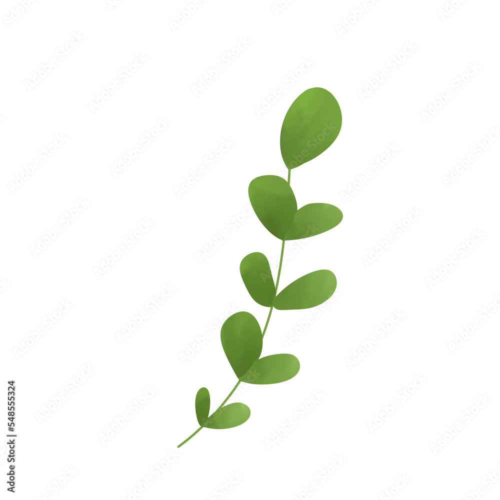 green leaf isolated on white background green leaf isolated on white background