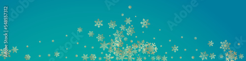 Gray Snowfall Vector Transparent Panoramic