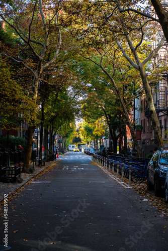 street in autumn © ChrisSh0ts