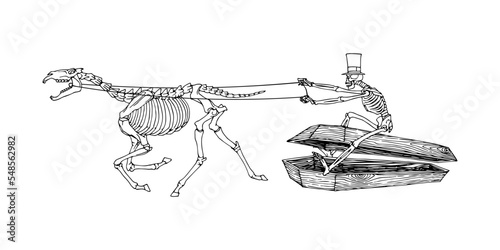 The grim coachman. The risen dead rides on a wooden coffin. A Gothic character. Vector illustration with black lines isolated on white background in a cartoon and hand drawn style.