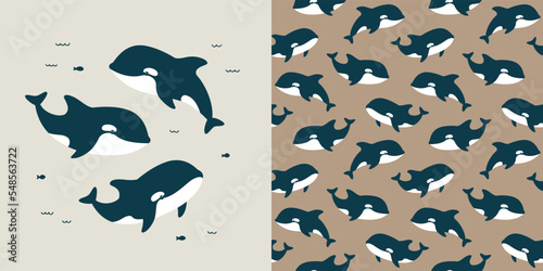 Cute vector collection with killer whale. Seamless pattern and animal illustration