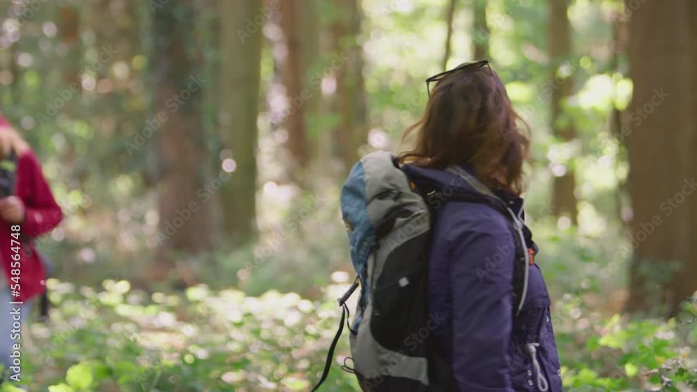 Group of female friends on holiday hiking through woods and enjoying being in nature - shot in slow motion Group of female friends on holiday hiking through woods and enjoying being in nature - shot in slow motion