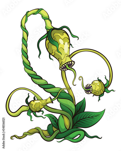 Carnivorous plant. Cartoon flytrap or flower predator. Angry flower with teeth. Monster plant icon. Vector illustration