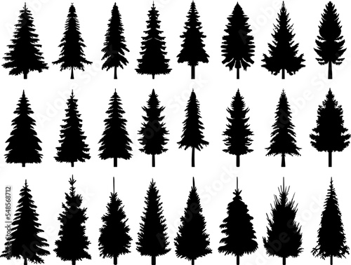 spruce silhouette, fir trees set design vector isolated
