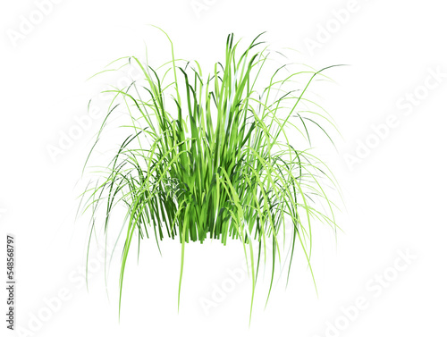 Round patch of fresh grass 3d render