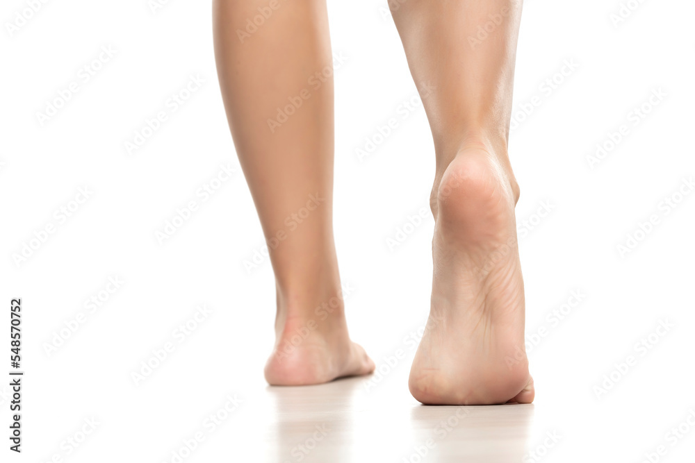 Back view of a beautifully cared female bare feet on a white background. Back view of a beautifully cared female bare feet on a white background.