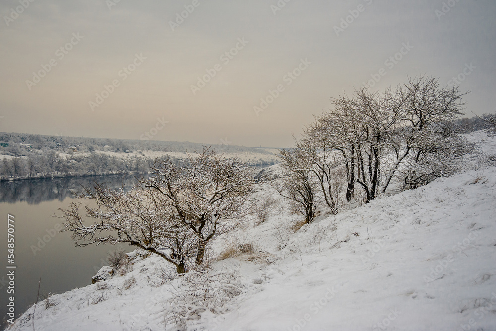 Snow-covered winter trees on the river bank. Snow-covered winter trees on the river bank.