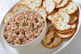 classic ham salad with crackers on white plate