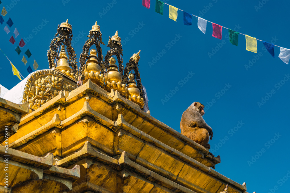 Obraz premium The monkey temple in the city of Kathmandu at the top of the city.