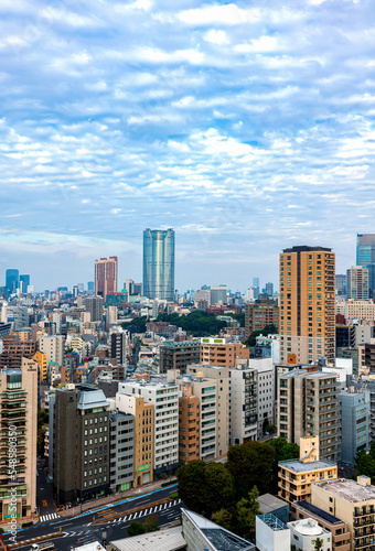 Skyscrapers and highways through Minato, Tokyo, Japan © Tierney