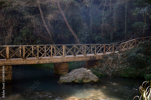 Wooden bridge over a river with waterfall in a lush forest of northwestern Spain. Winter and humidity give a very intense green color.