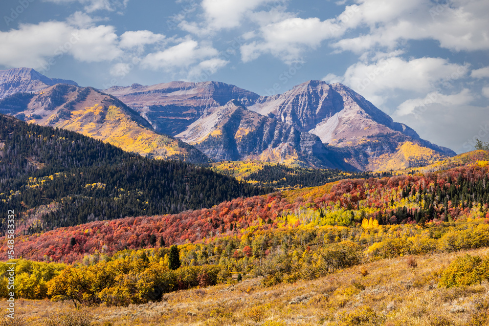 Fall colors glowing on the mountains